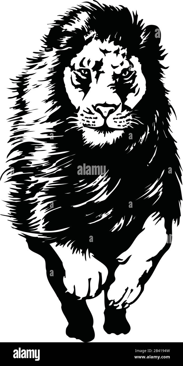 Featured image of post Running Lion Vector / We have 118 free lion vector logos, logo templates and icons.