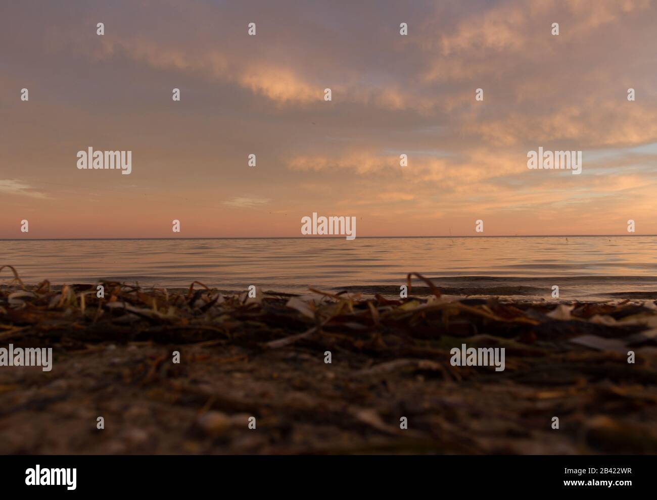 sunset on the beach Stock Photo - Alamy
