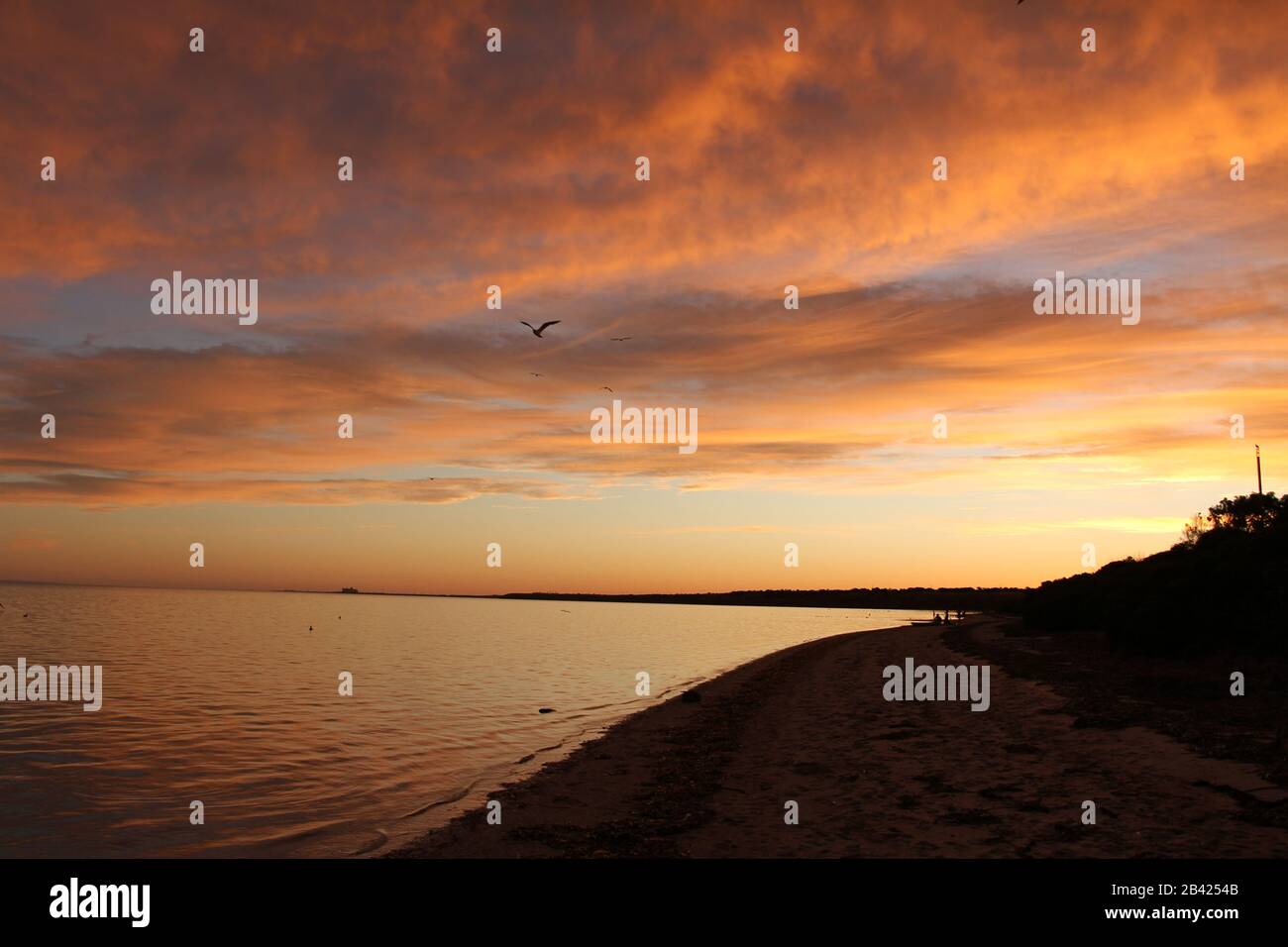 sunset on the beach Stock Photo - Alamy