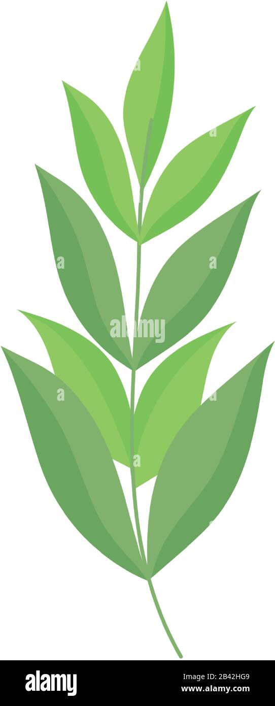 greenery branch leaves foliage ecology botanical icon vector ...