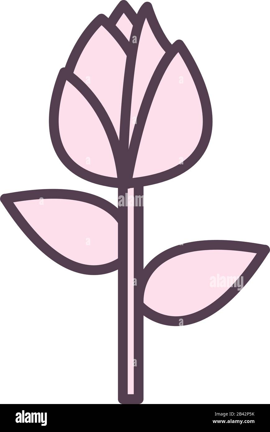 flower line style icon design, natural floral nature plant ornament ...