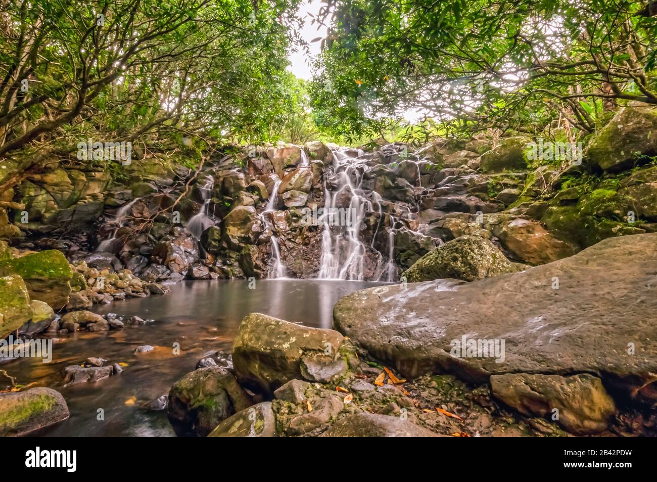 The touristic cascade Chamarel waterfall, Mauritius, no person. Stock Photo