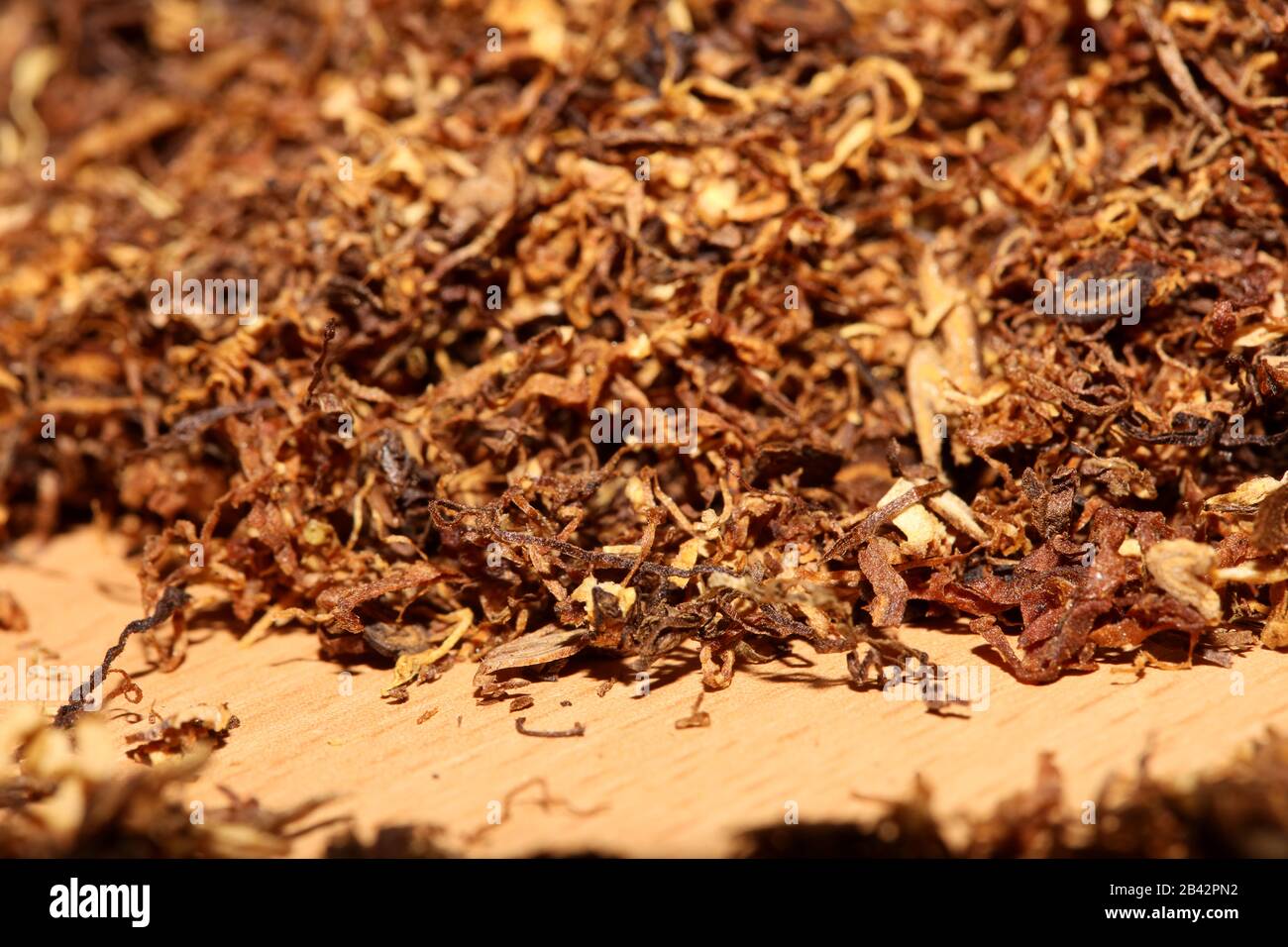 tobacco leaf wallpaper Rolling tobacco leaves macro background stock photography high quality  Stock Photo