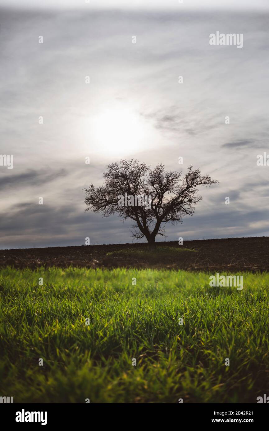 Hour without hi-res stock photography and images - Alamy