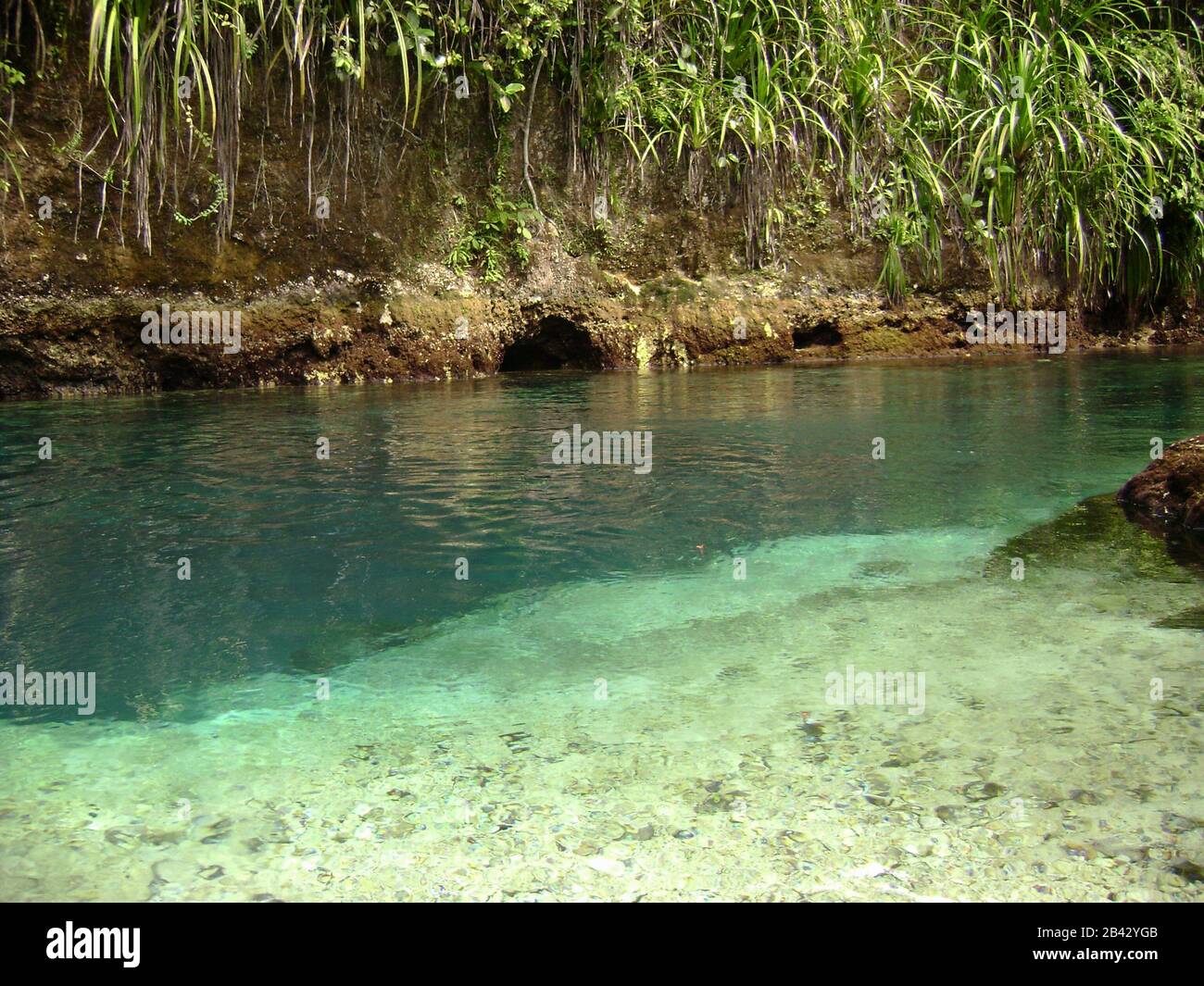 Various hues of green at the Enchanted River of Surigao del Sur, Philippines. Stock Photo