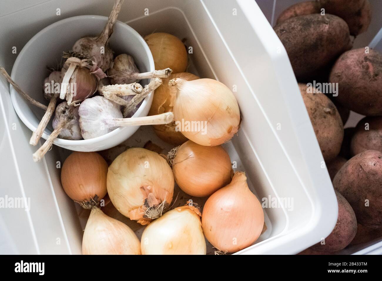 Onions and garlic are stored in a container. Vegetables in the kitchen