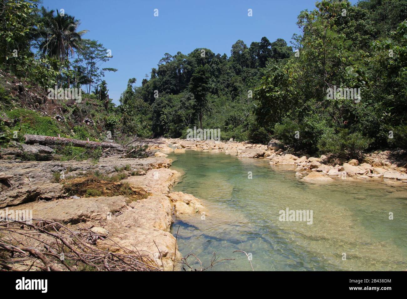 Scenic view of a clear river flowing through a forest in the Philippines. Stock Photo