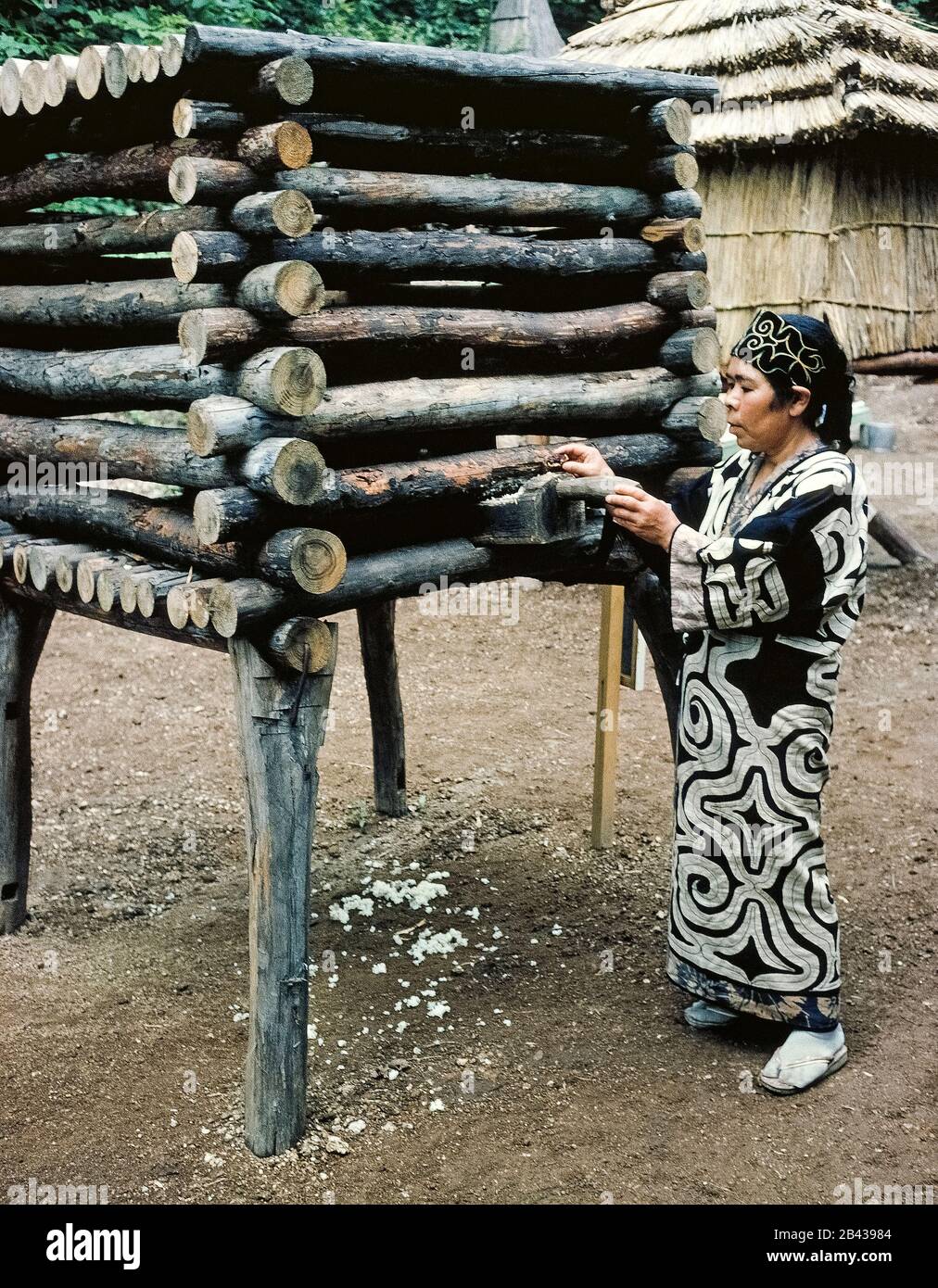 An Ainu woman in traditional dress feeds rice to a black bear being raised in an elevated log cage in an Ainu village on the island of Hokkaido in northern Japan. The Ainu (pronounced I-noo) worship the bear as their most revered god. Prior to when this historical photograph was taken in 1962, bears raised in the village would be slaughtered during an annual festival. Bear festivals continue today for tourists but the animal is no longer sacrificed. The Ainu were officially recognized as indigenous people of Japan in 2008. Stock Photo