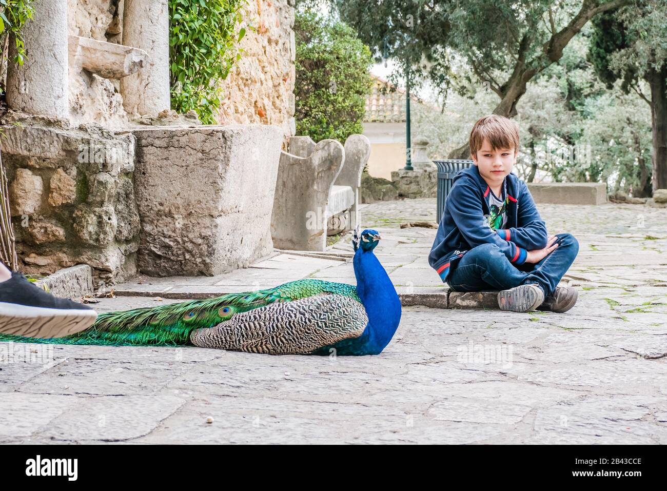 a young boy sitting next to a peacock laying on the ground Stock Photo
