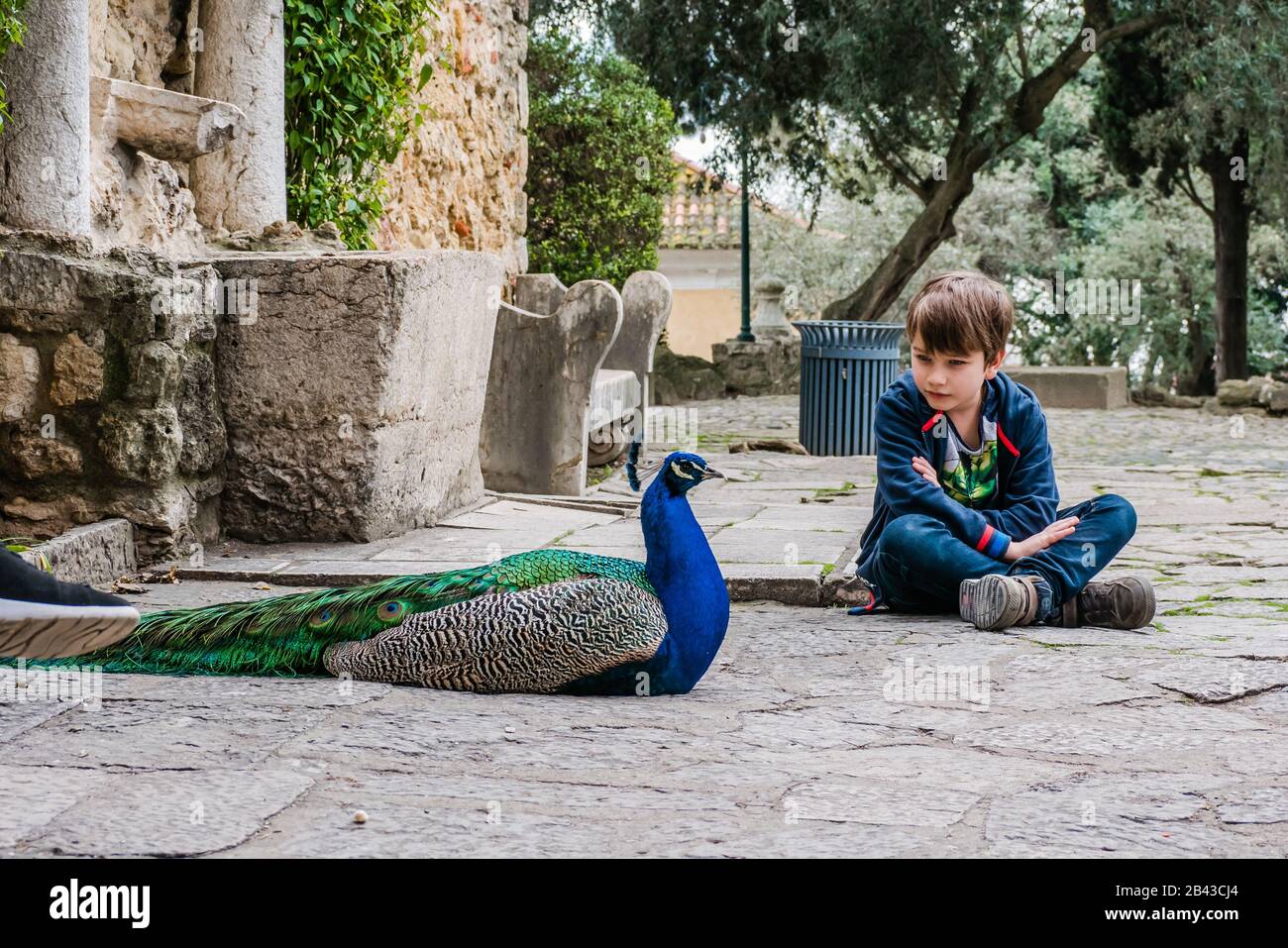 a young boy sitting next to a peacock laying on the ground Stock Photo
