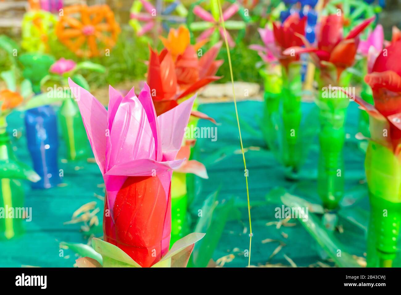 Recycled colorful plastic flowers made from plastic bottles to decorate as flowers in the garden. Plastic bottle recycled. Stock Photo
