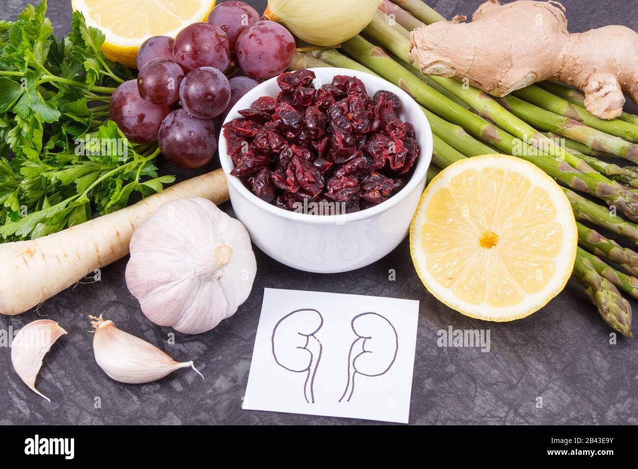 Best nutritious food for kidneys health. Concept of healthy eating as