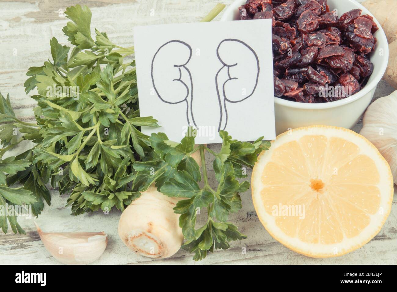 Drawing of kidneys and healthy eating as source natural vitamins and