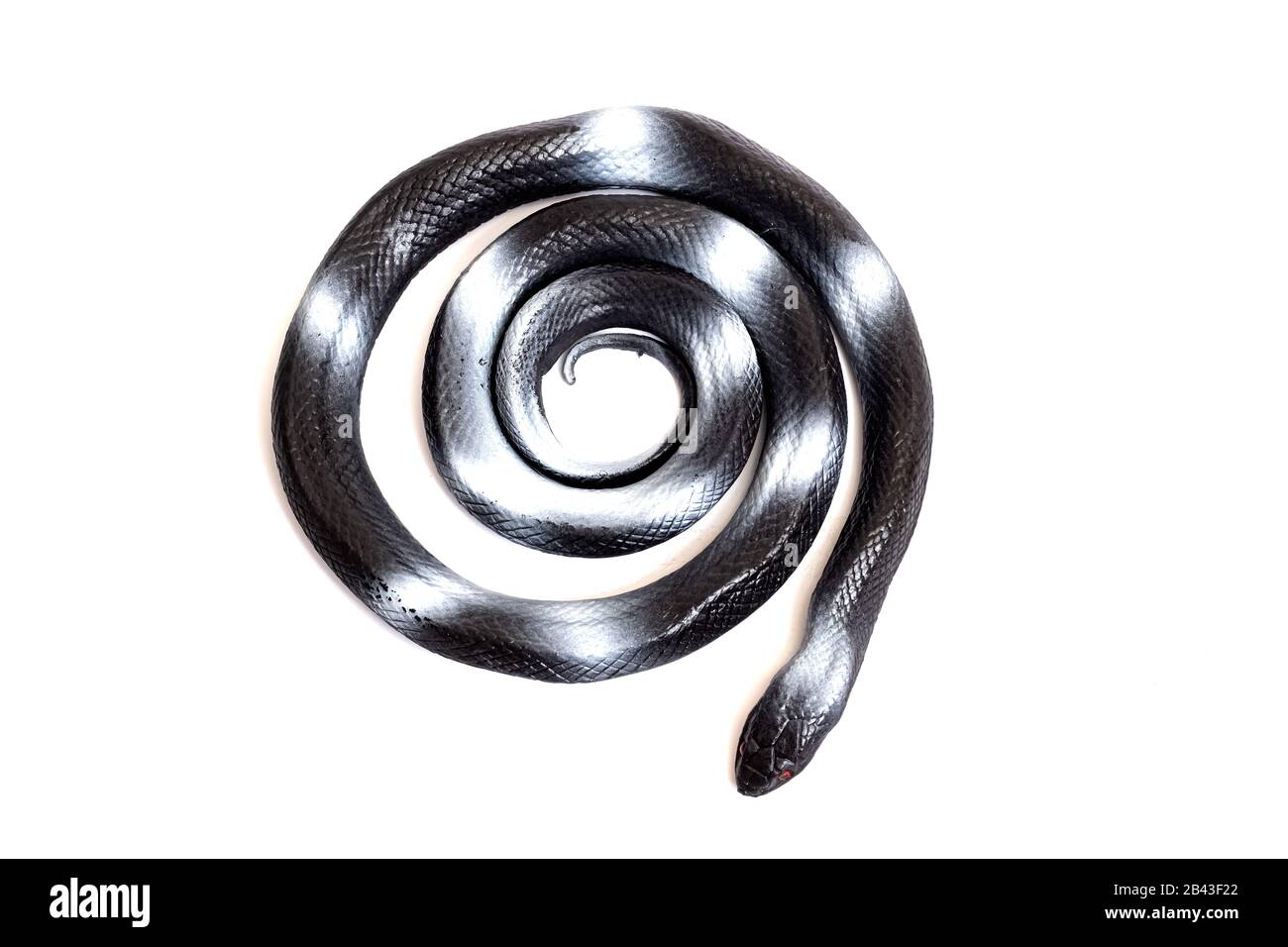 Black snake toy isolated on white background Stock Photo - Alamy