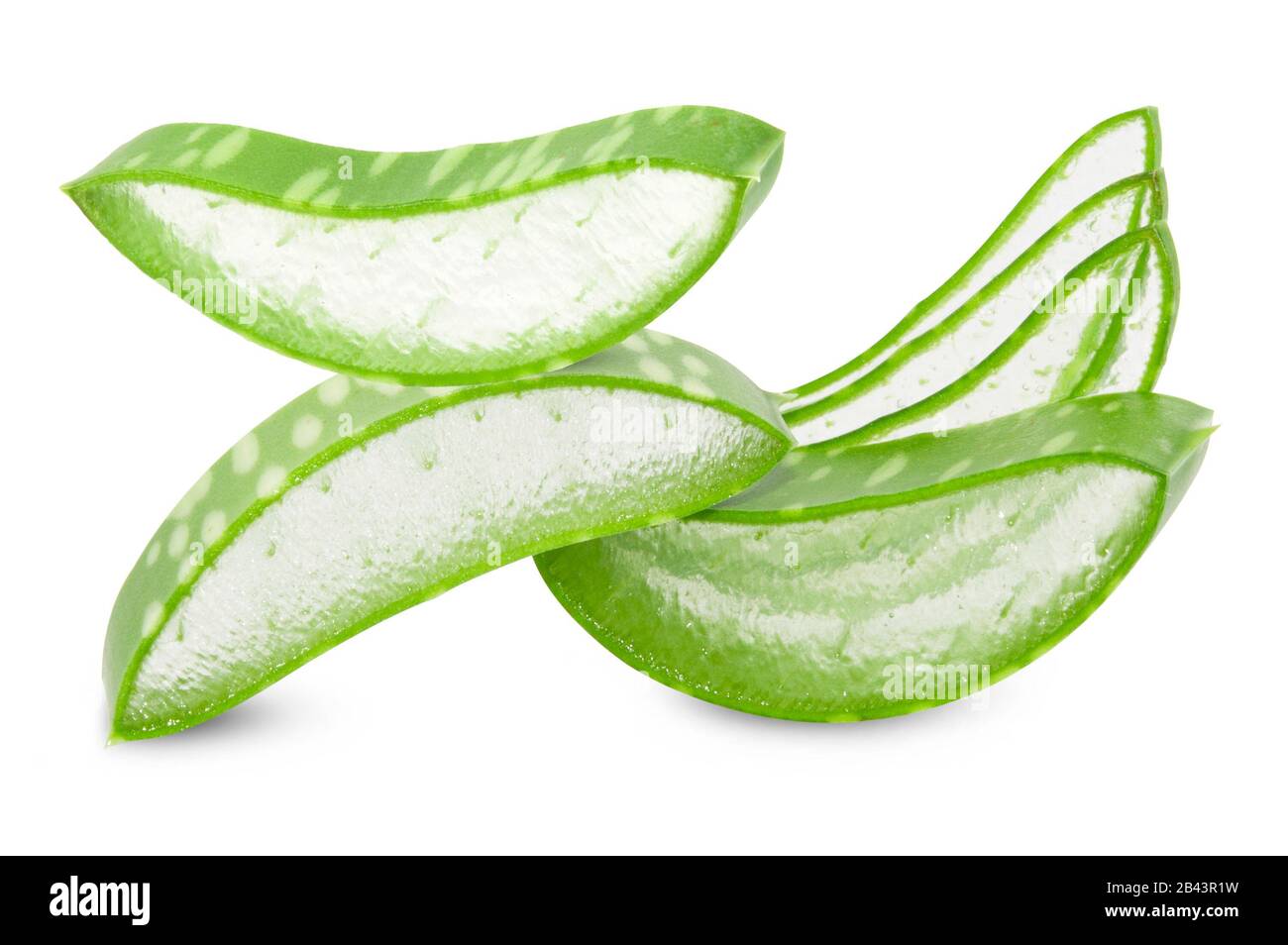 Aloe vera leaves isolated on white background Stock Photo - Alamy