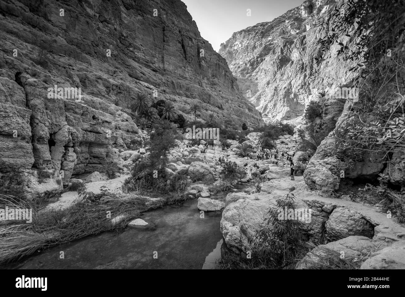 Black and White of landscape Wadi Shab river canyon with rocky cliffs and green water springs - Sultanate of Oman Stock Photo