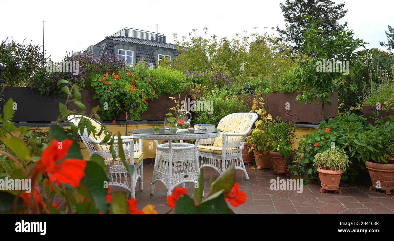 Balkon Pflanzen High Resolution Stock Photography and Images - Alamy