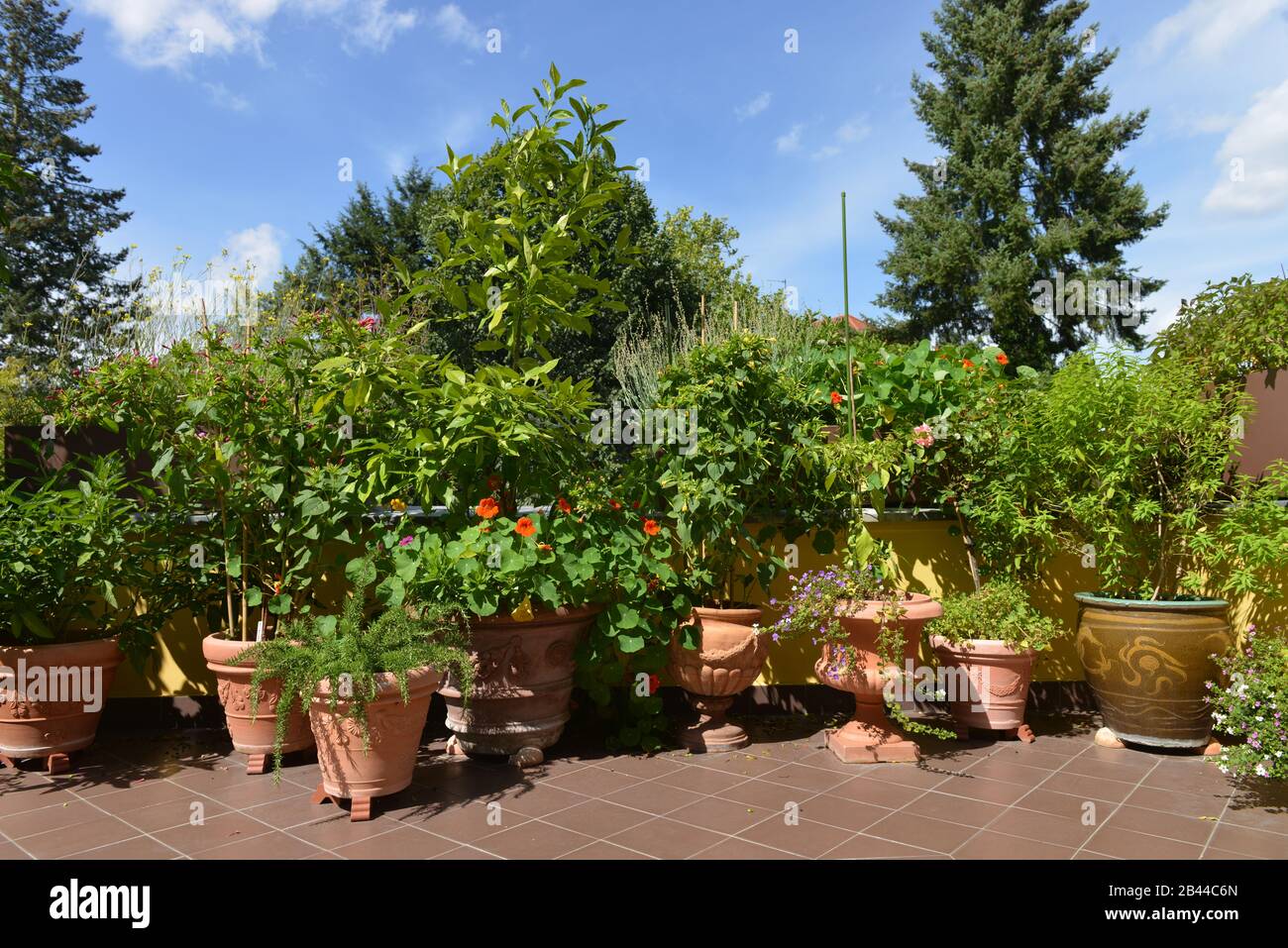 Balkon pflanzen hi-res stock photography and images - Alamy