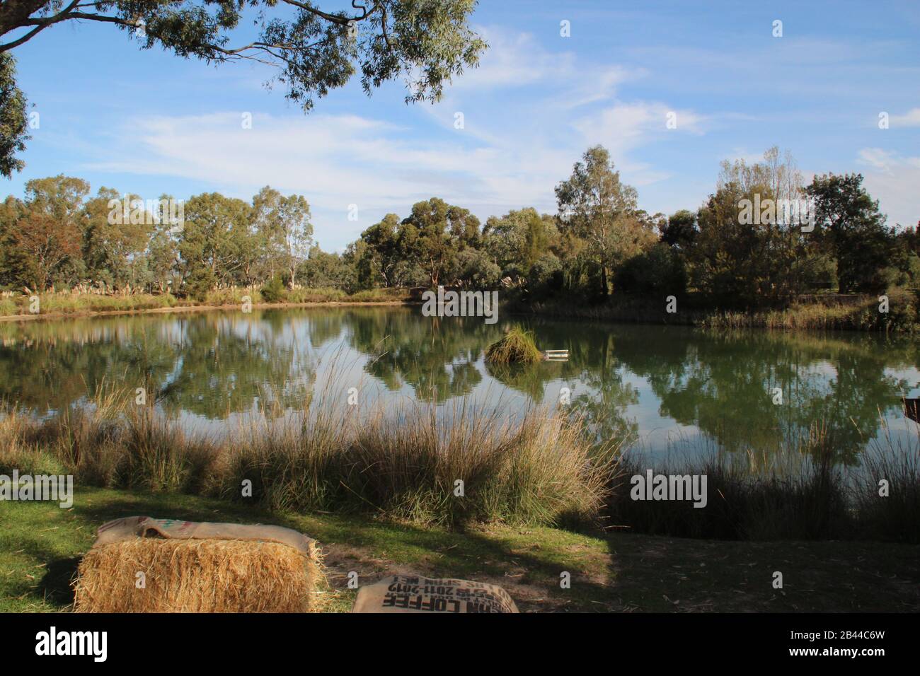 lake in the Barossa valley Stock Photo