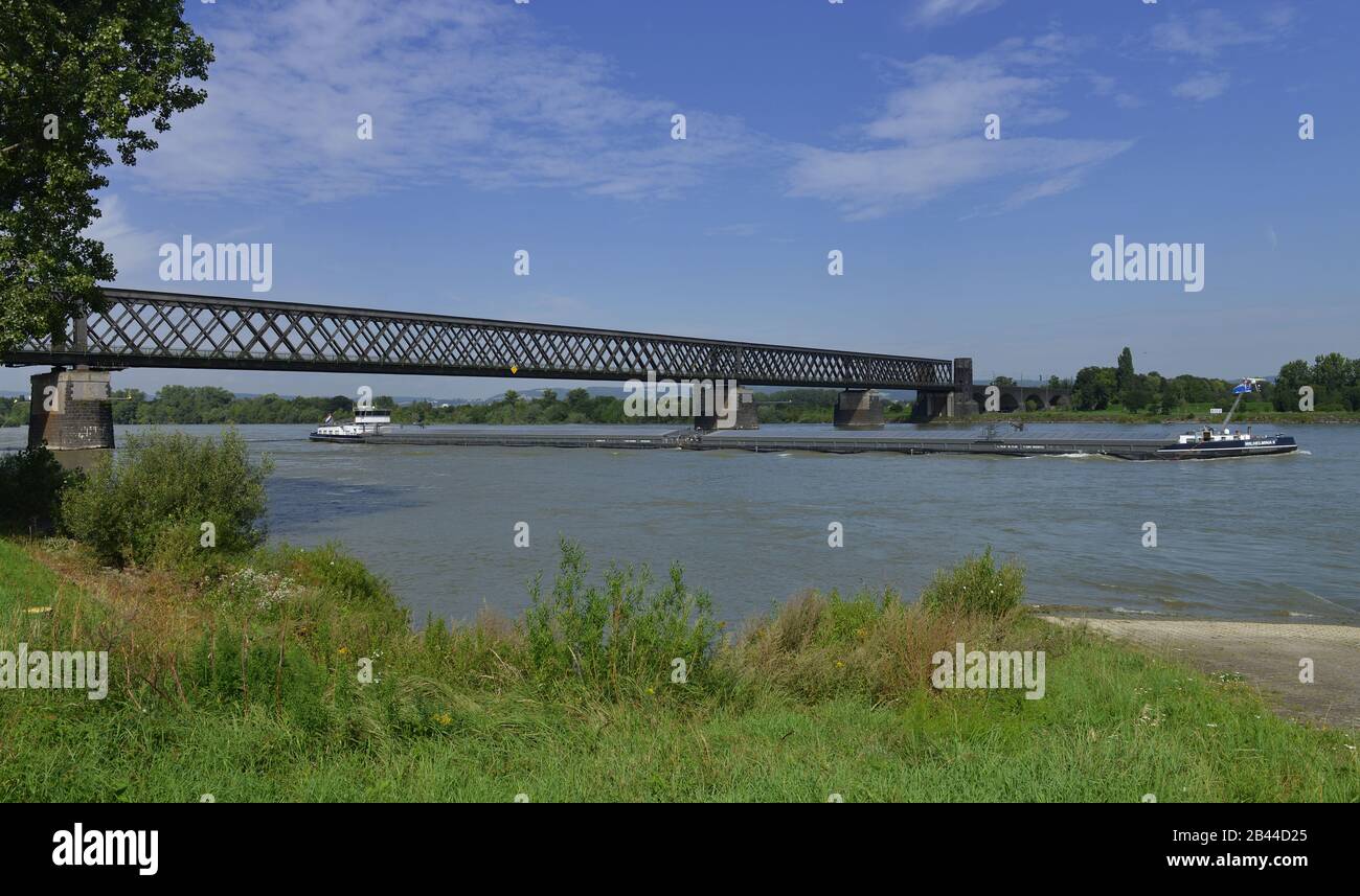 Urmitz, Eisenbahnbruecke, Rhein, Rheinland-Pfalz, Deutschland / Eisenbahnbrücke Stock Photo