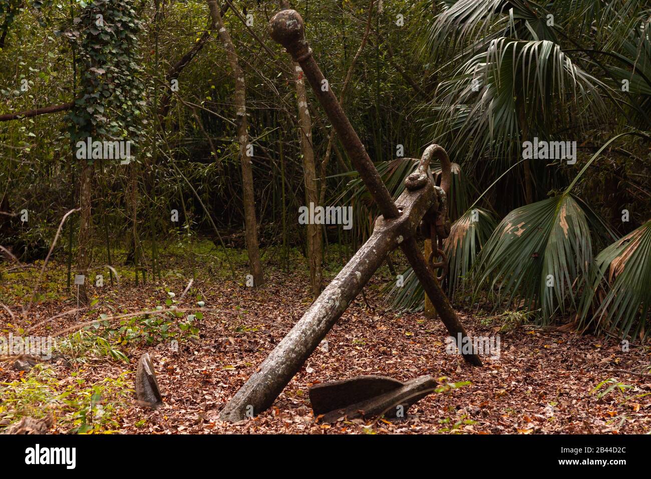 Old anchor in the forest covered by leafs in the ground. Stock Photo