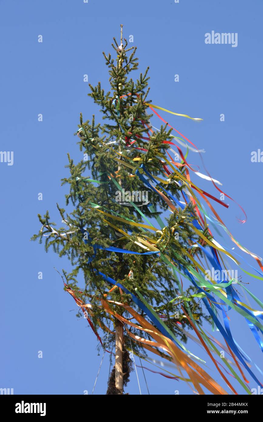 Maibaum Stock Photo