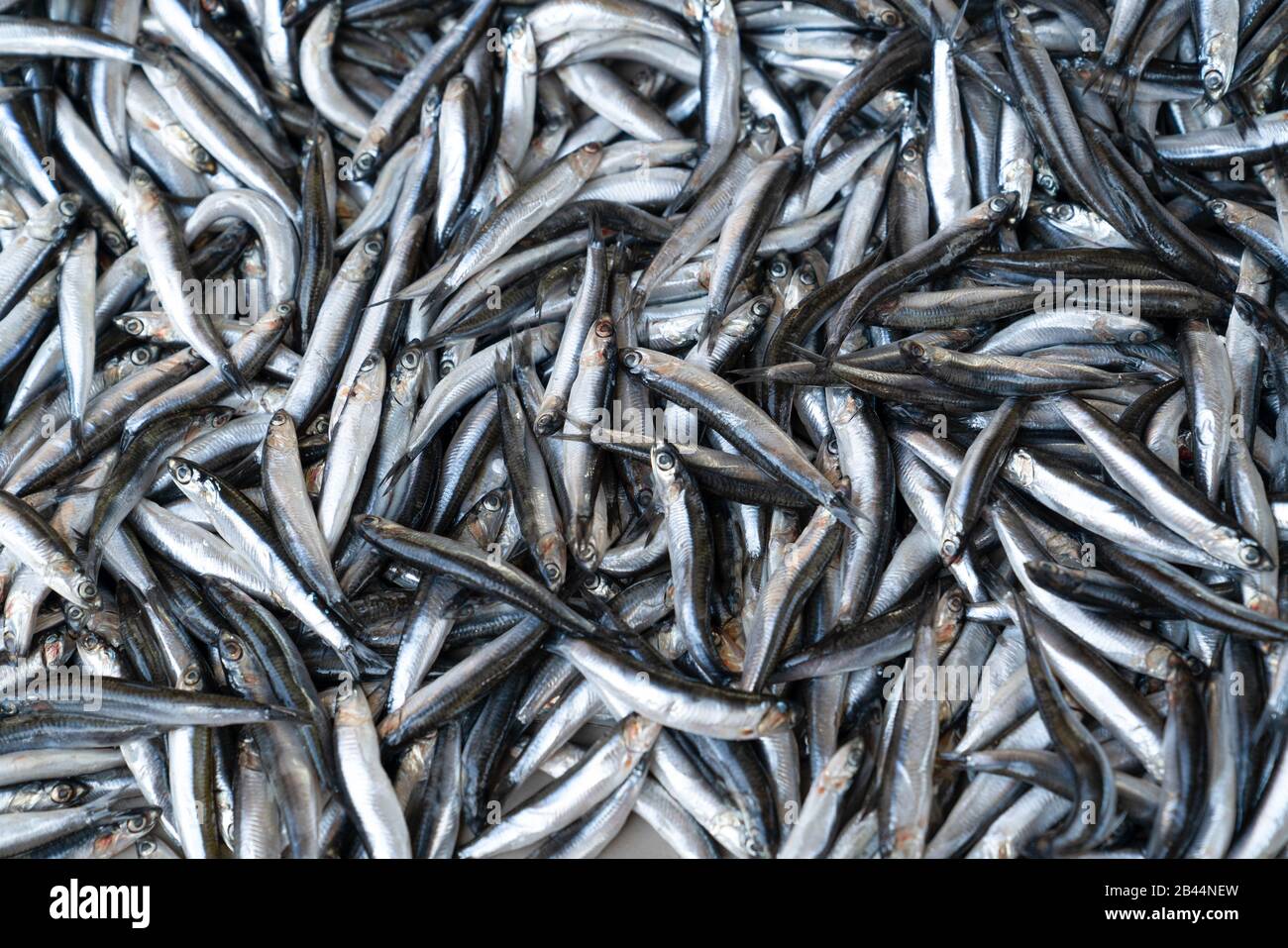 Anchovy fish for sale at market Stock Photo Alamy