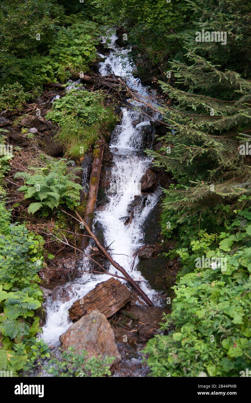 Waterfall in French alps  hiking attraction in a forest Stock Photo