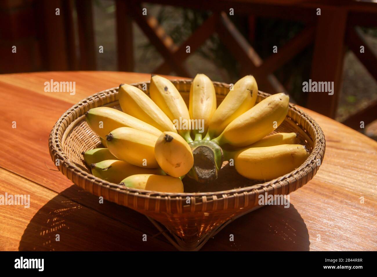 golden bananas or Lady Finger banana in weave basket on wood table. healthy fruit food. Stock Photo