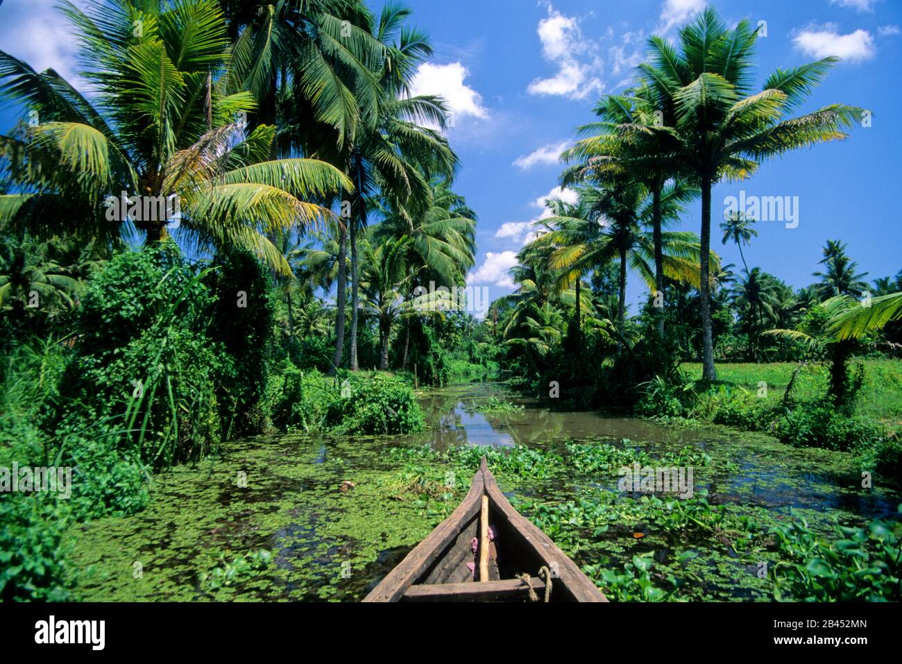 Backwater boat cruise caves cochin kerala India Asia Stock Photo