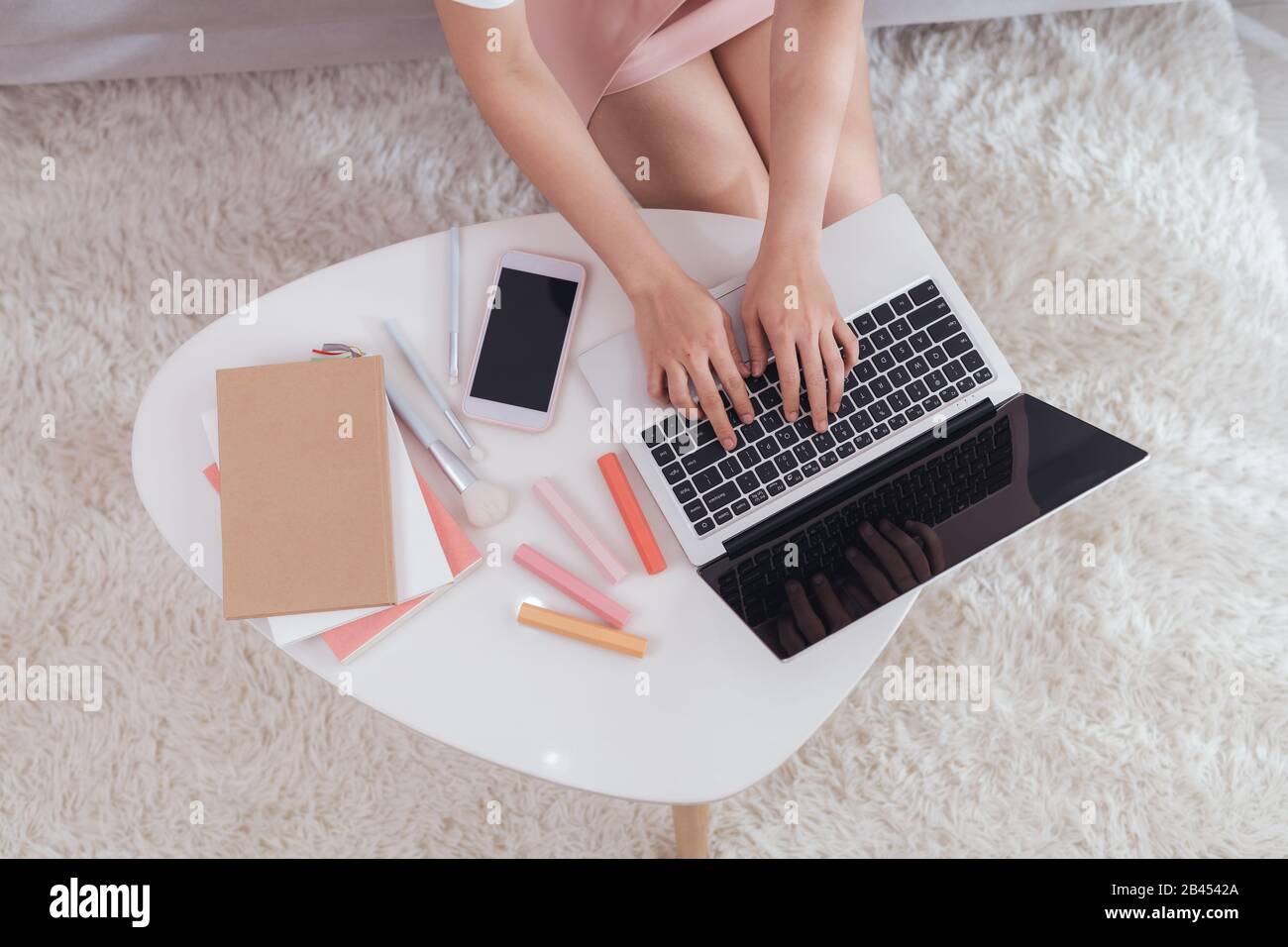 Freelance woman entrepreneur SME seller typing on laptop computer noting the order. Online selling, Stock Photo