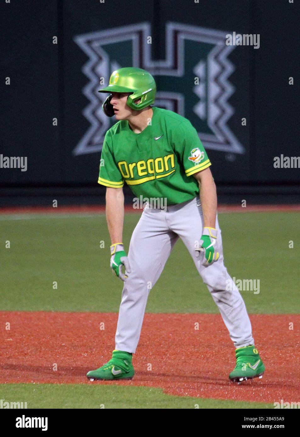 March 5, 2020 - Oregon Ducks outfielder Tanner Smith (31) looks in on the pitch during a game between the Oregon Ducks and the Hawaii Rainbow Warriors at Les Murakami Stadium in Honolulu, HI - Michael Sullivan/CSM Stock Photo