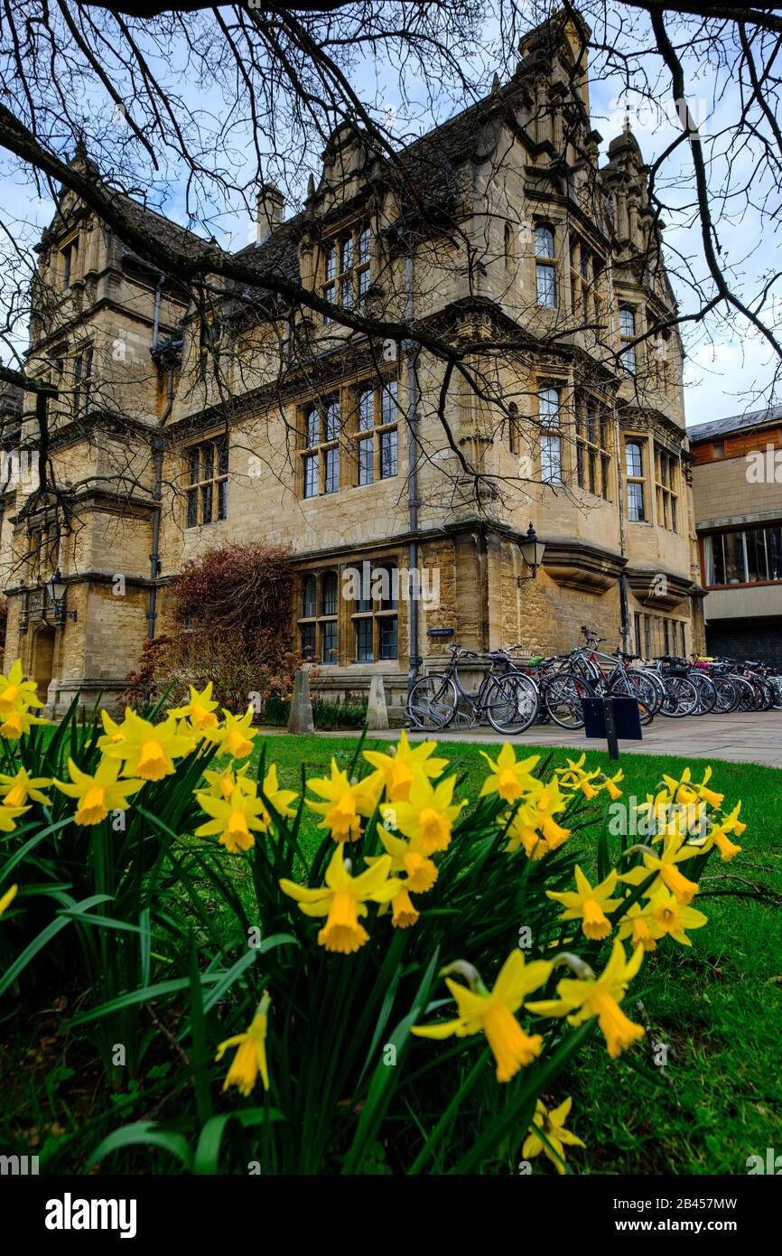 Trinity College, Oxford in Springtime with Daffodils. England, UK Stock Photo