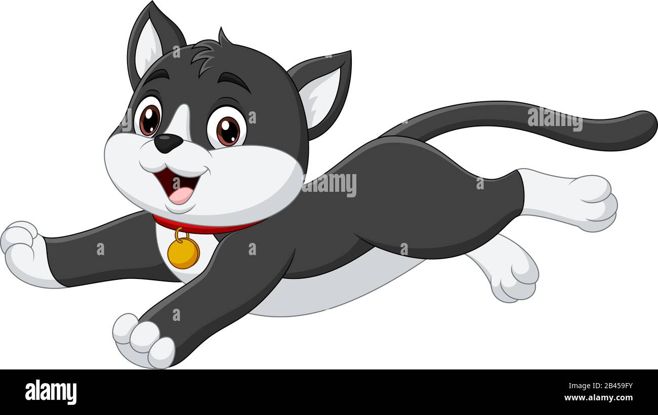 Cartoon black and white cat on white background Stock Vector Image