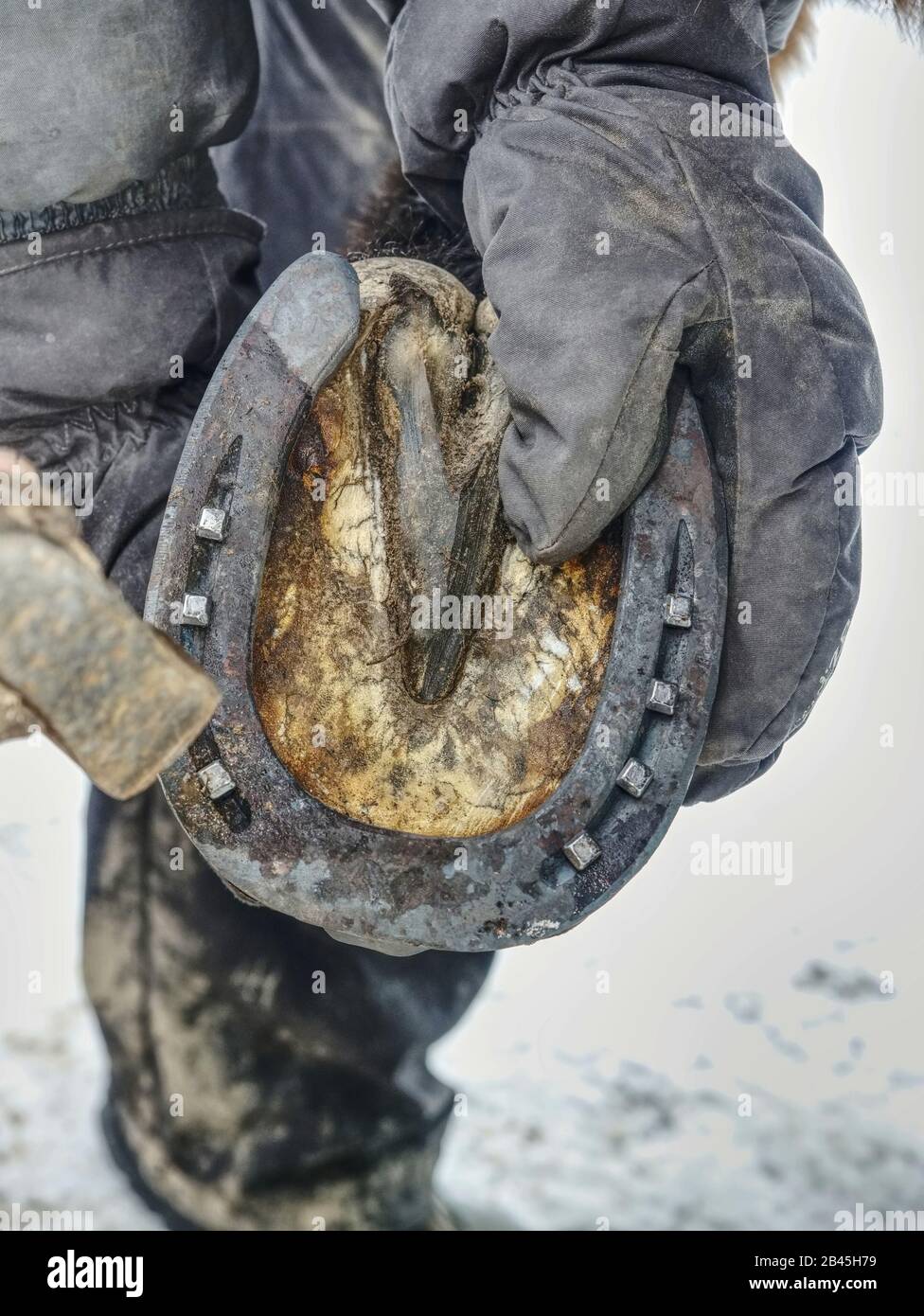 Horse Shoe Nails High Resolution Stock Photography and Images Alamy