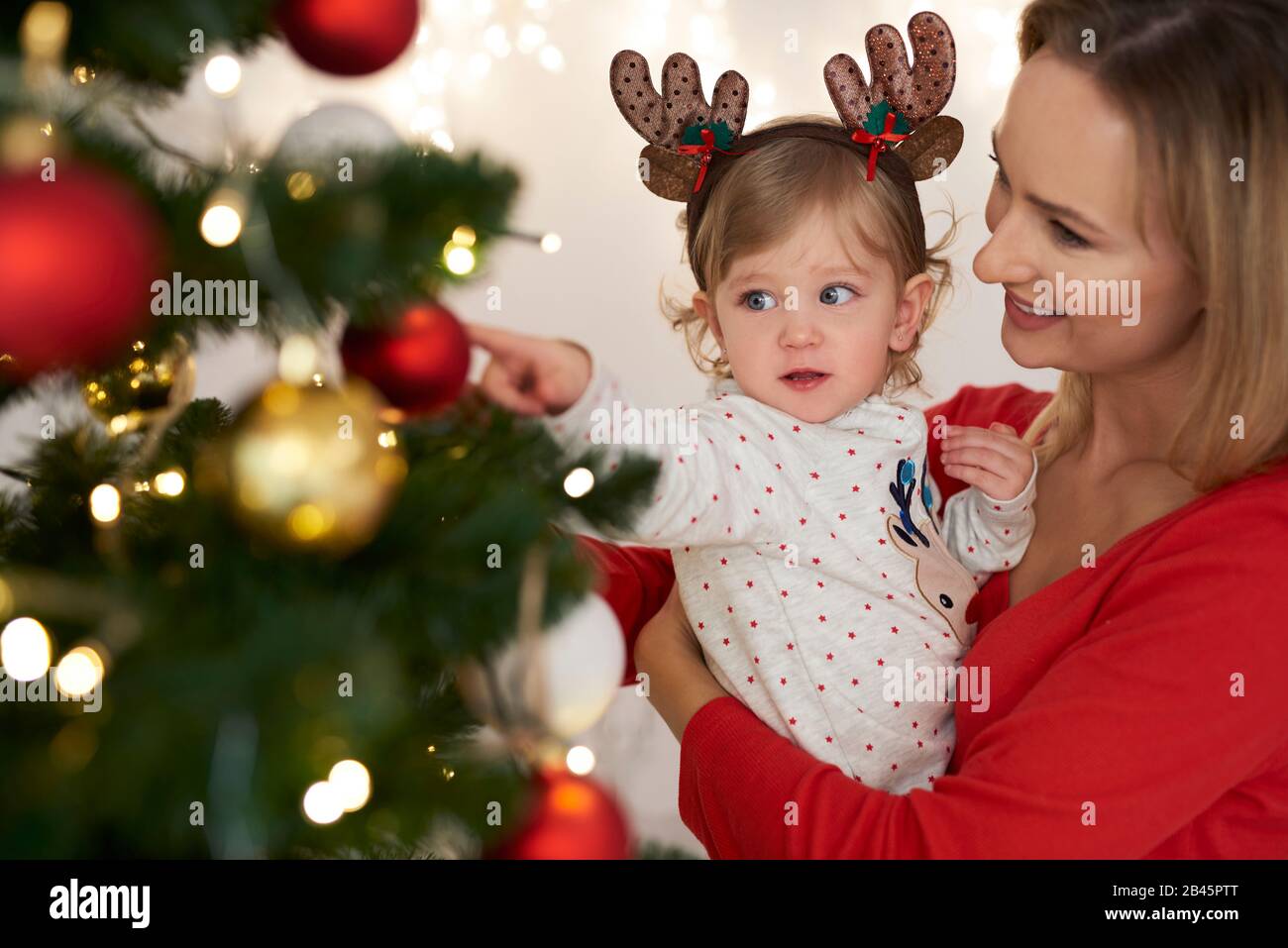 Christmas tree carry woman hi-res stock photography and images - Alamy