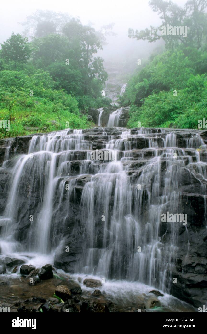 misty landscape with waterfall, malshej ghat, maharashtra, India, Asia