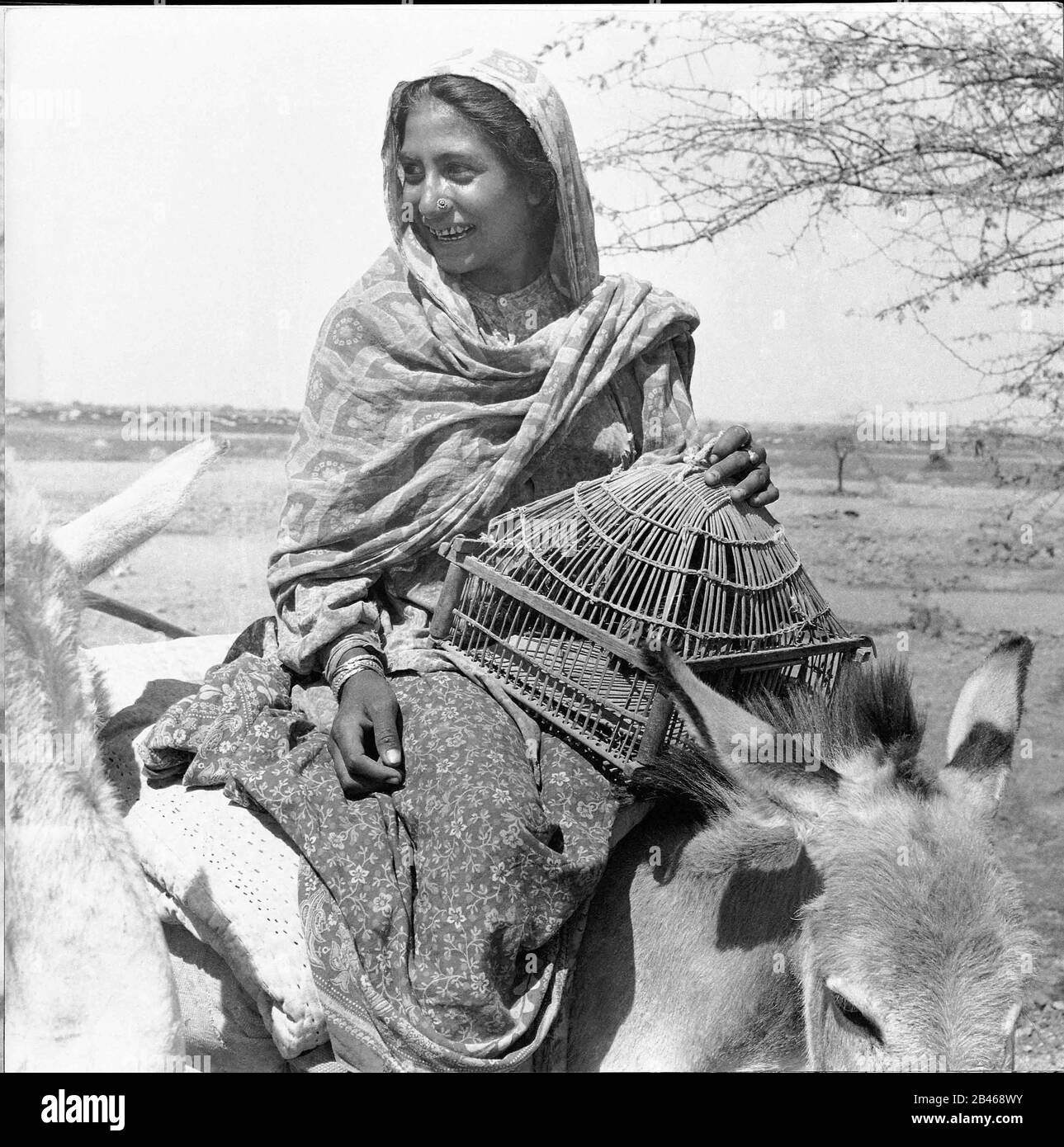 Indian rural woman with bird cage sitting on donkey, Makara Tribe, Veraval, Gir Somnath district, Saurashtra, Gujarat, 1963, old vintage 1900s picture Stock Photo