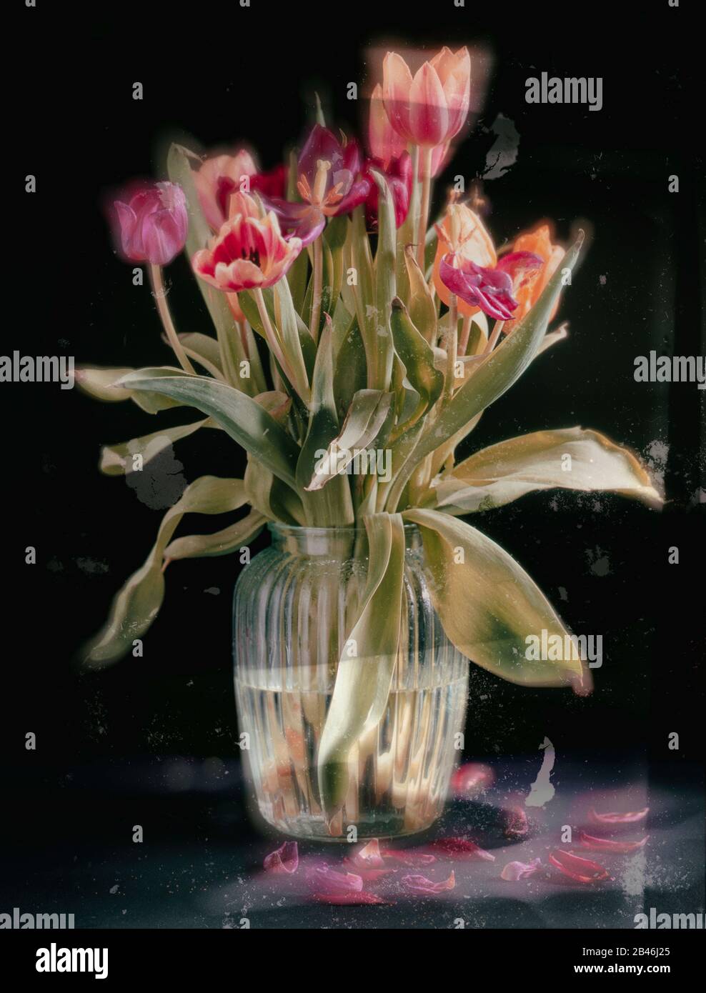 Dead flowers vase hires stock photography and images Alamy