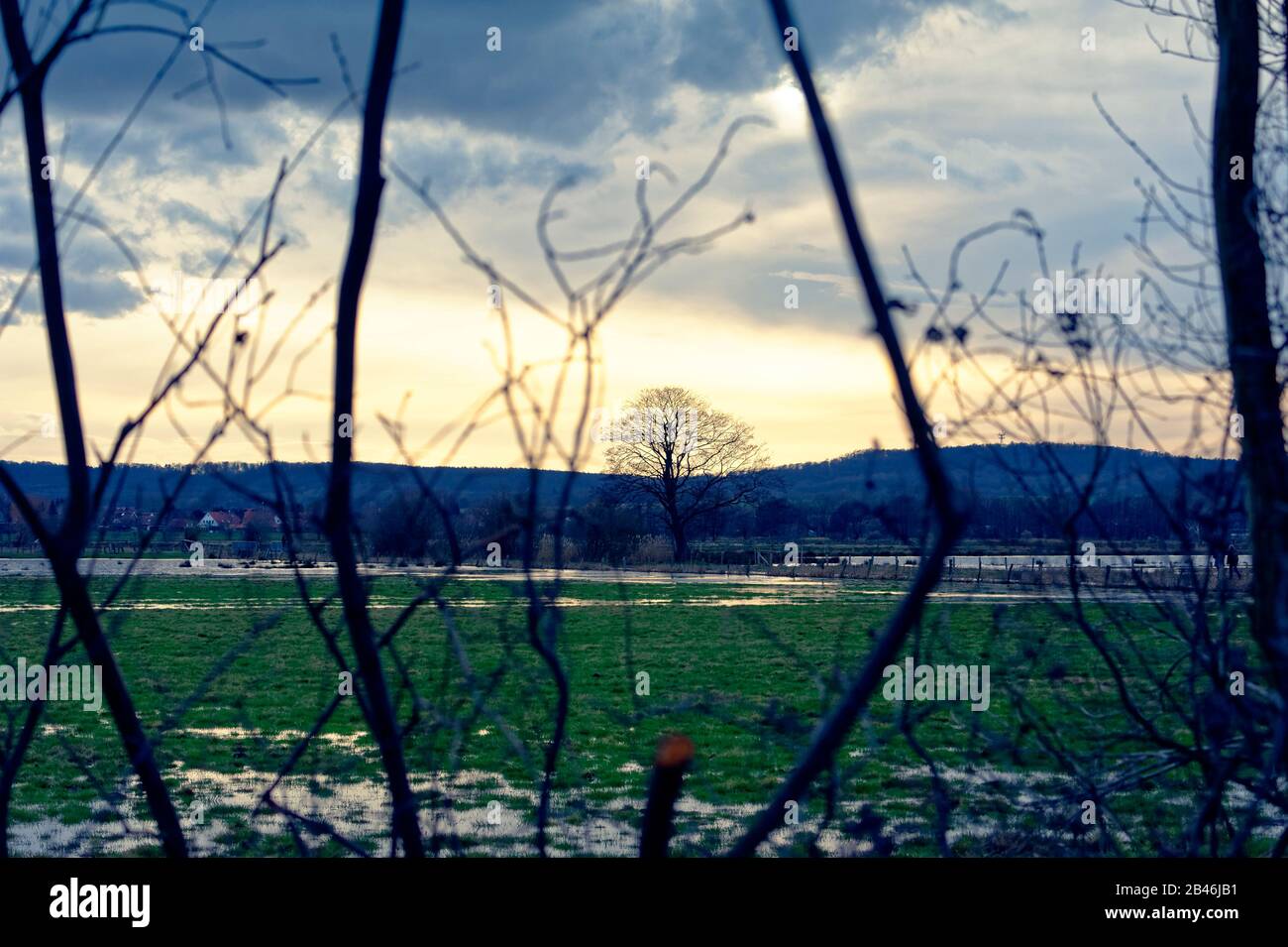 Meerbruchswiesen,Naturschutzgebiet bei Winzlar Stock Photo Alamy