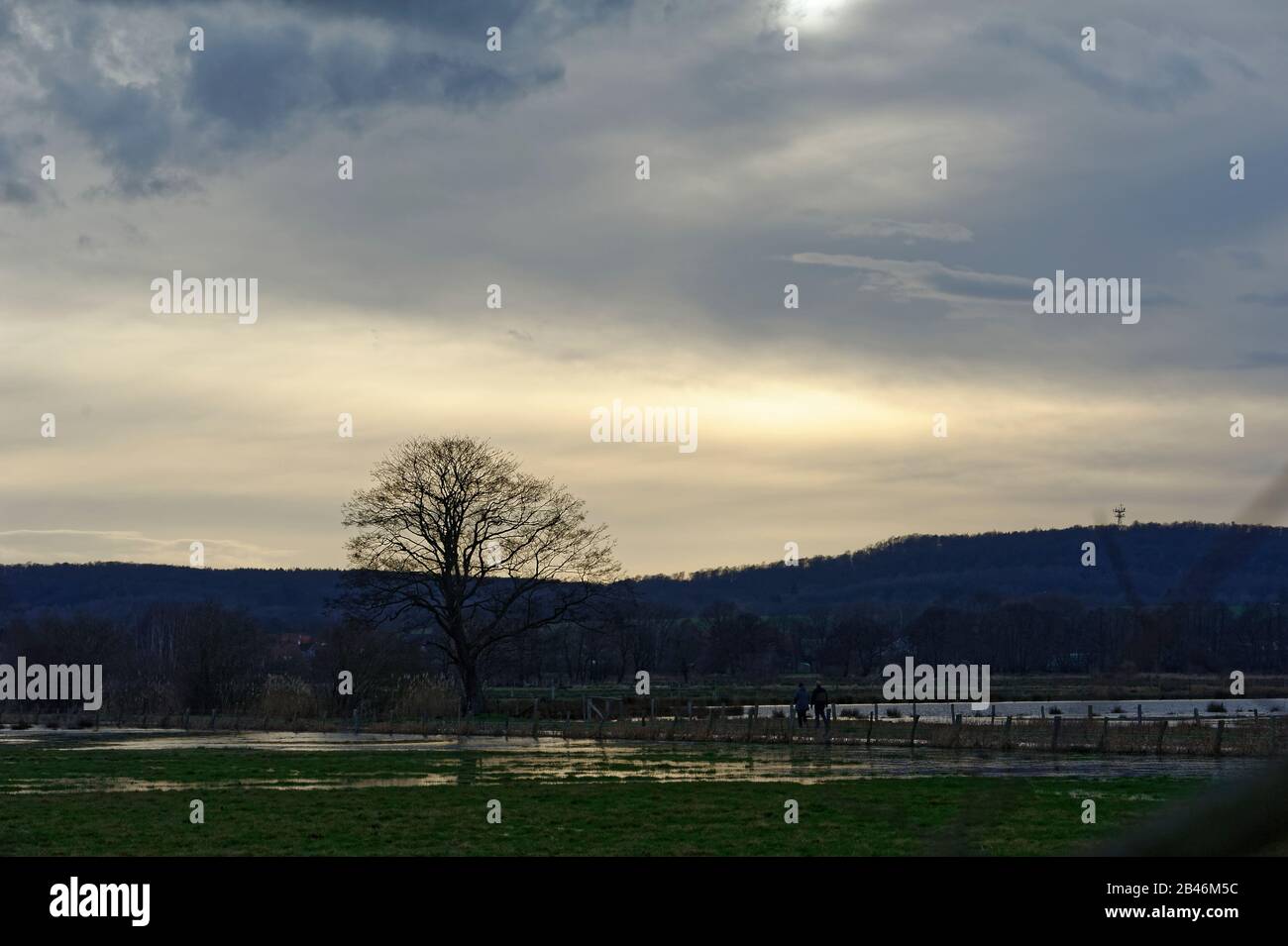 Meerbruchswiesen,Naturschutzgebiet bei Winzlar Stock Photo Alamy