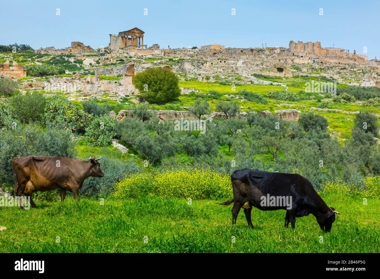 Roman city ruins Stock Photo Alamy