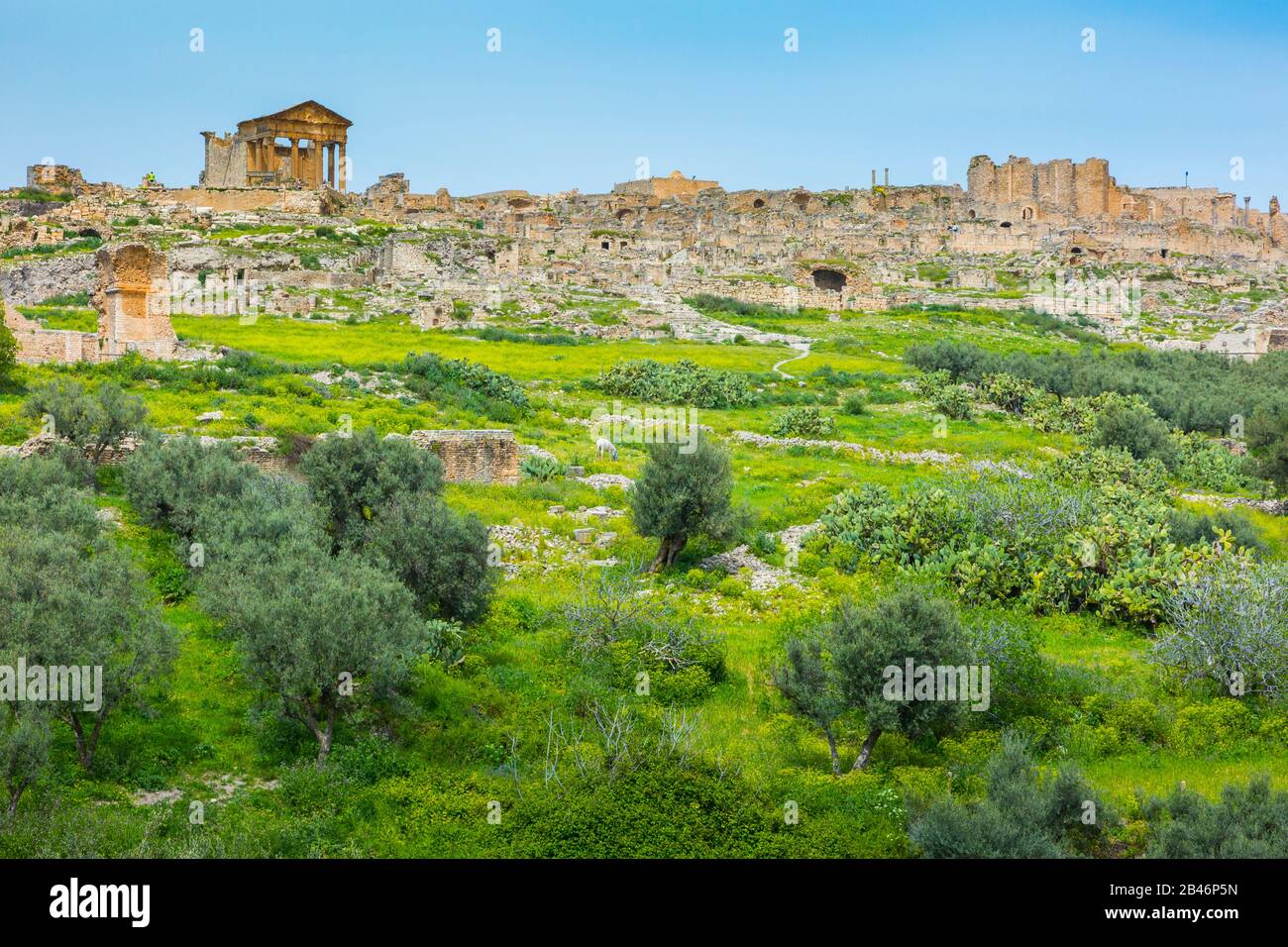 Roman city ruins Stock Photo Alamy