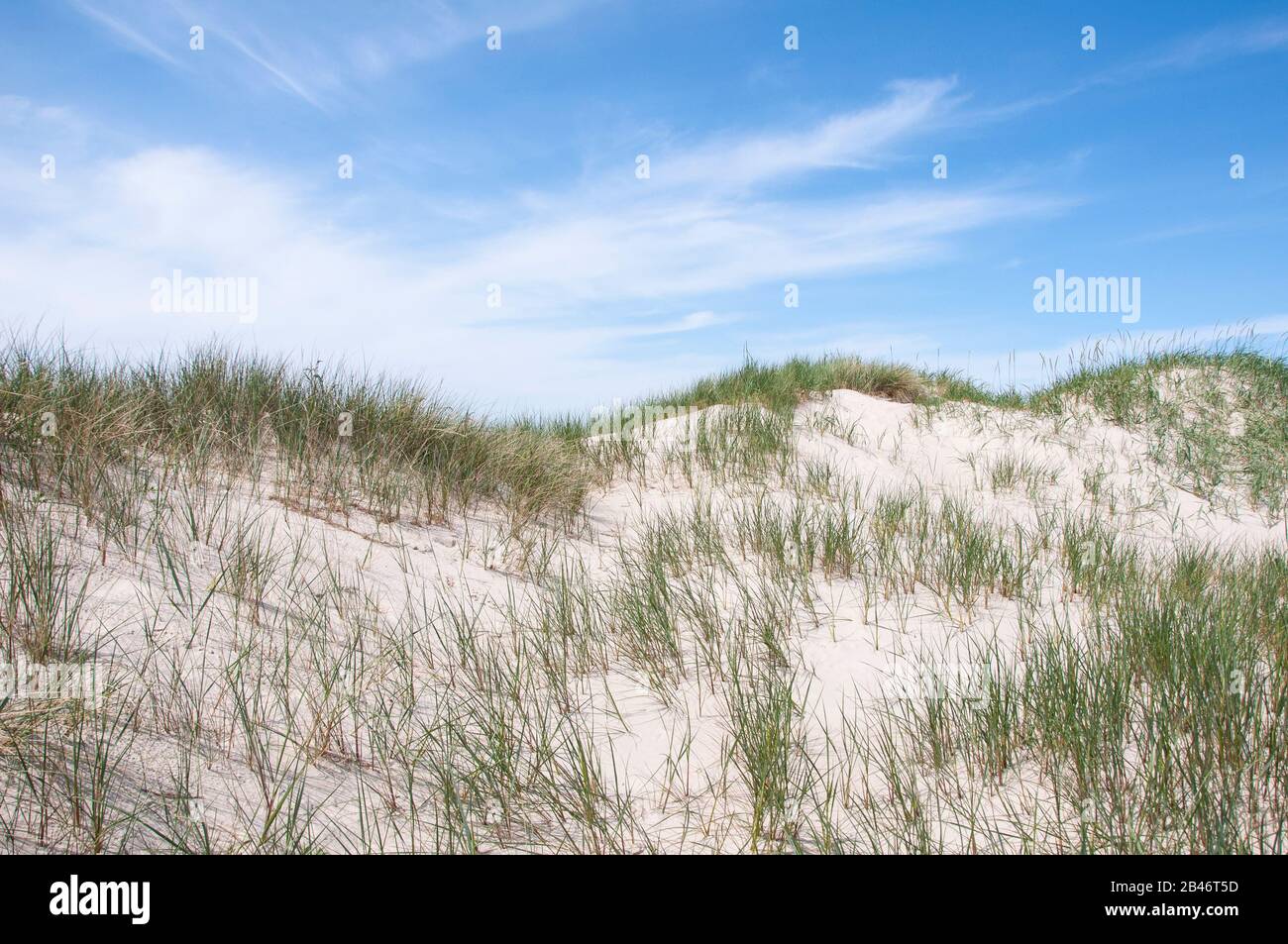 Beautiful dunes of Blaavand, Denmark in the summer Stock Photo