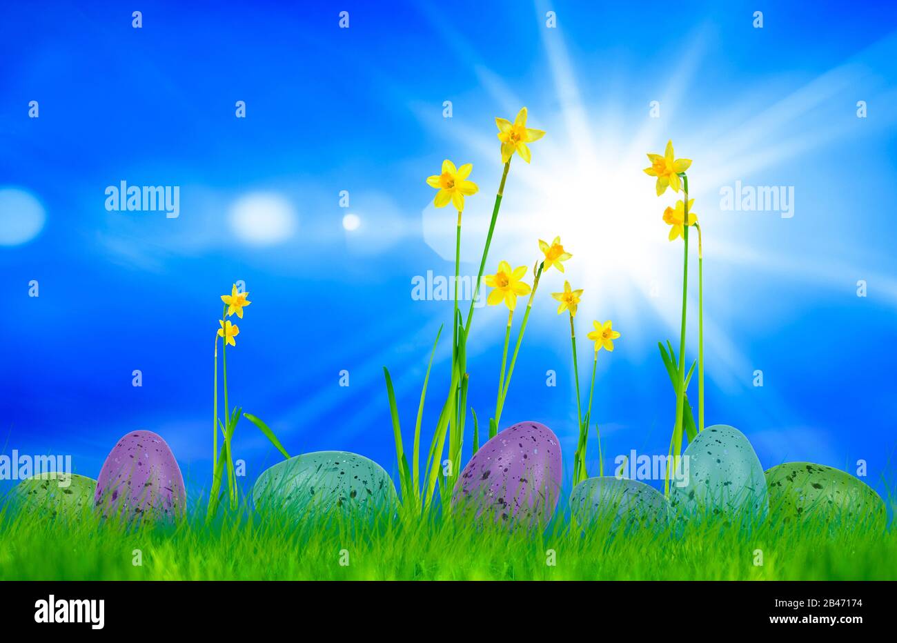 a easter card with easter eggs and flowers on a meadow Stock Photo