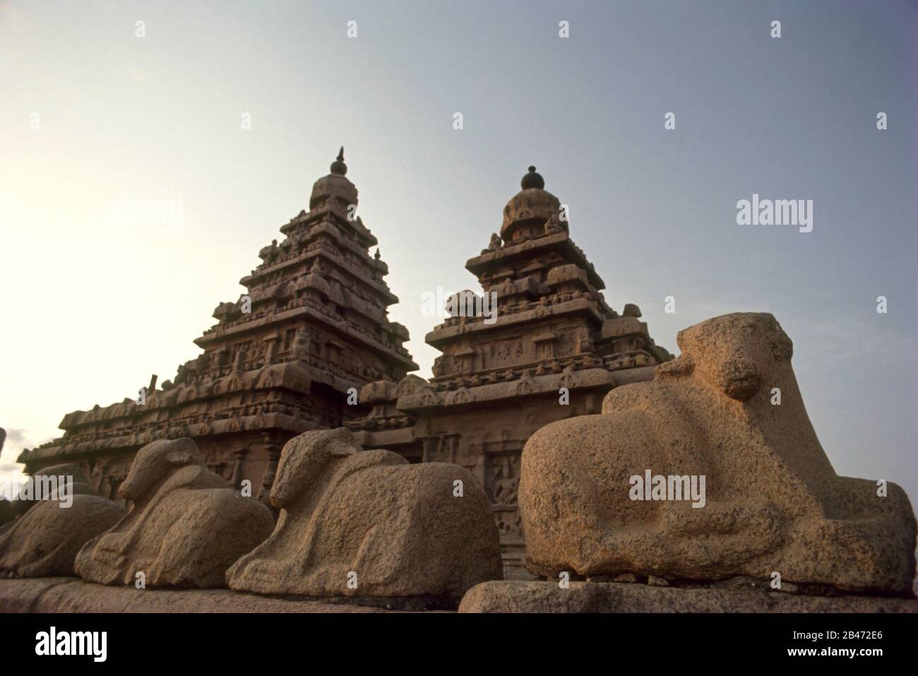 arjuna's penance, carvings at Mahabalipuram, tamil nadu, India, Asia Stock Photo