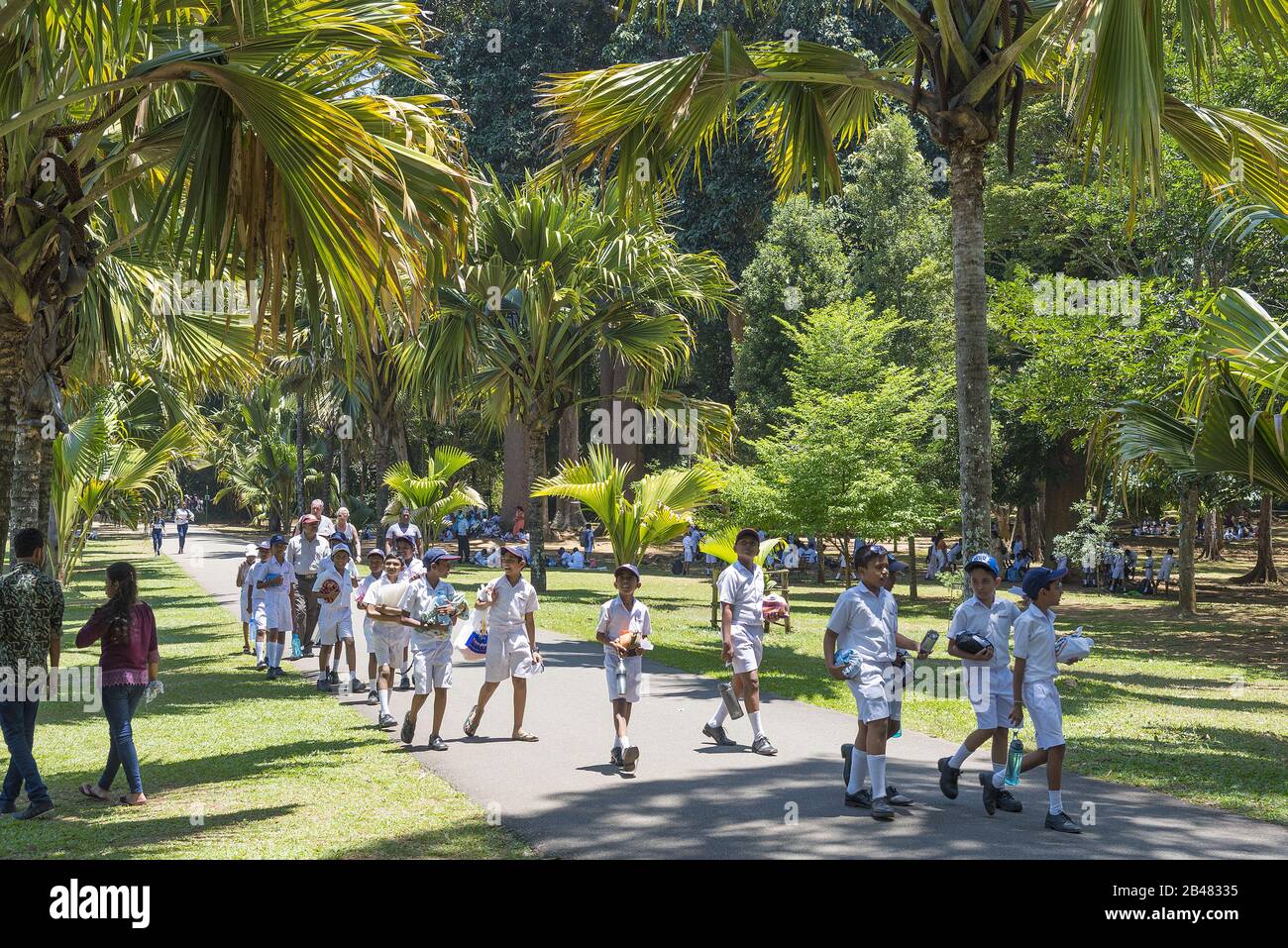 Kandy, Sri Lanka: 03/19/2019: Peradeniya Botanical Gardens School children in uniform walking in the gardens. Stock Photo