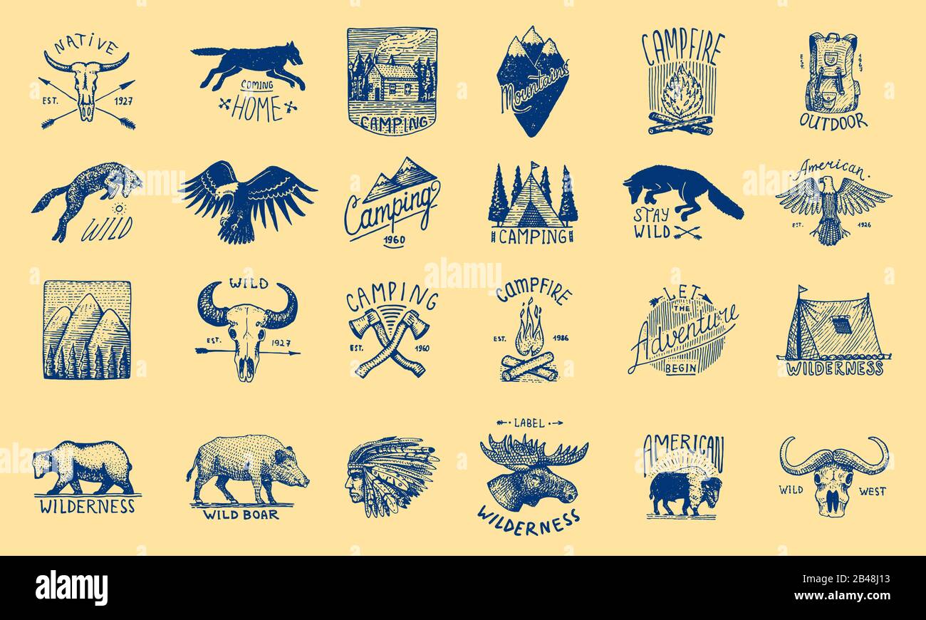 Native Emblems Native american buffalo shield hi-res stock photography and images - Alamy