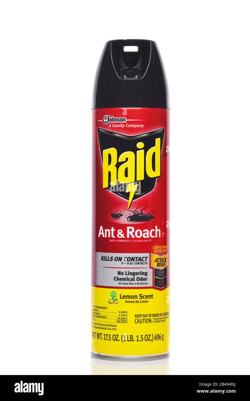 IRVINE, CALIFORNIA 4 OCT 2019 An aerosol can of Raid Ant and Roach
