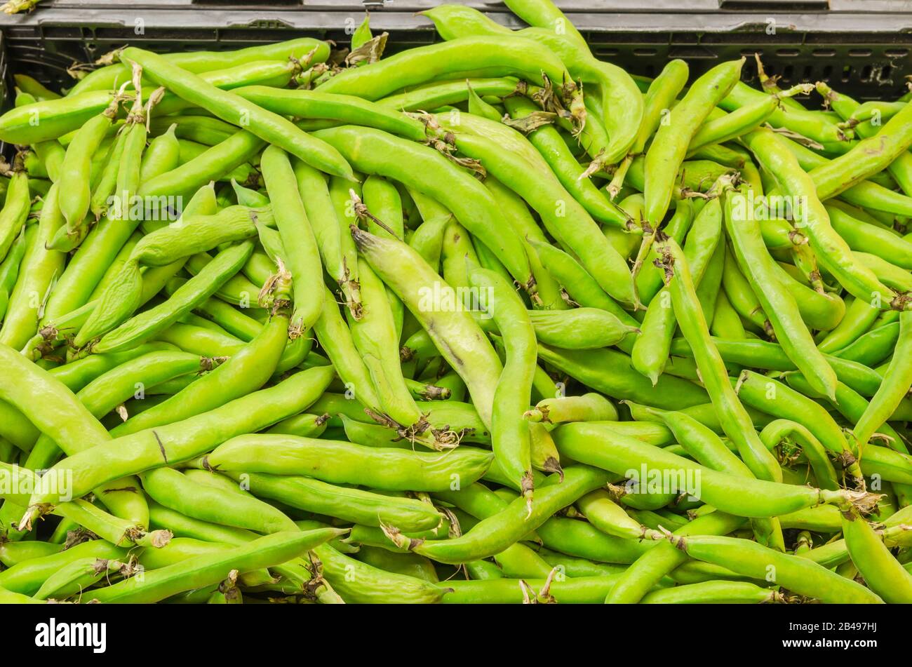 Garden harvest usa bean hi-res stock photography and images - Alamy